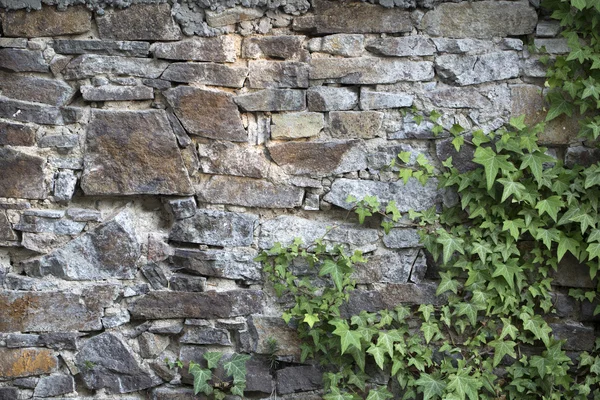 Kletterer an steinerner Wand — Stockfoto