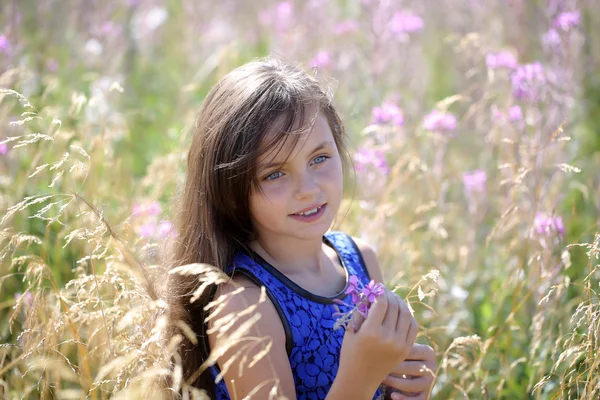 Красива дівчина серед квітів — стокове фото