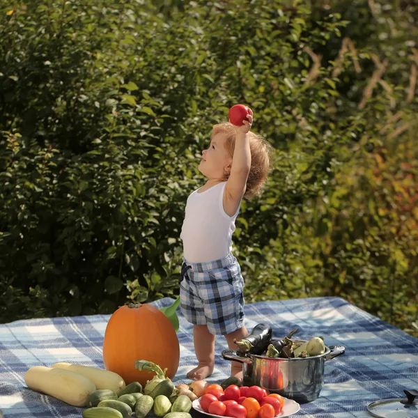 Lyckligt barn på picknick — Stockfoto