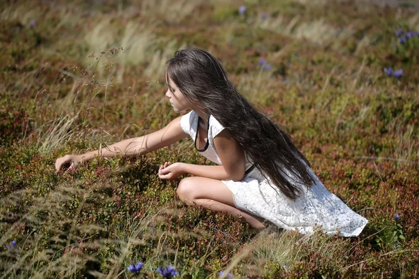 Girl in valley — Stock Photo, Image