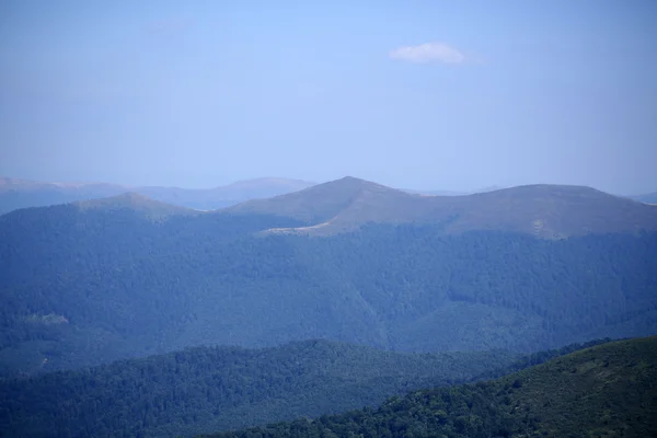 Naturliga bakgrund — Stockfoto