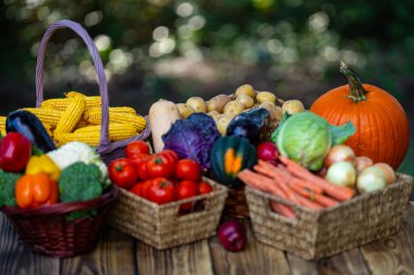 Meyve ve sebze hasat et. Yeşil arka planda doğal olarak büyüyen sebzeler. Tahta bir sepetin içinde taze meyve ve sebze hasadı. Taze mevsimlik hasat