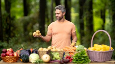 İspanyol çiftçi kırsal bir çiftlikte taze sebze topluyor. Organik çiftlikte besleyici ürünleri olan bir tarım uzmanı. Bahçıvan bitkileri ve meyveleri teftiş ediyor. İşçi taze sebze topluyor.