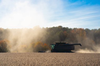 Sonbahar hasadı. Hasat buğdaylı tarlalar. Buğday tarlasında hasatçıyı birleştir. Kırsal kesimlerde hasat. Hasat makinelerini birleştirin. Çiftçilik biçerdöver işbaşında. Kırsal alanda hasat var.