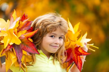 Sonbahar Bebek Portresi Sonbahar Sarı Yaprakları, Yünlü Şapkalı Küçük Çocuk, Park Açıkta Güzel Çocuk, Ekim sezonu için Örgü Kıyafet