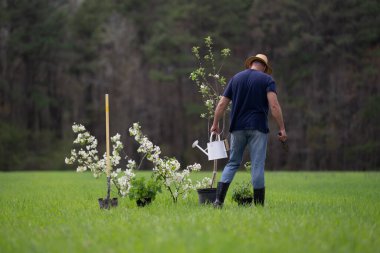 İşçi dikme ağacı. Bahçede bitki yetiştiren çiftçi. Çiftlikte çalışan bir adam. Açık havada tarım işi. Bahçe işleri yaşam tarzı. Toprak ekme hazırlığı. Yeşil çimlerde ağaç dikiyorum.