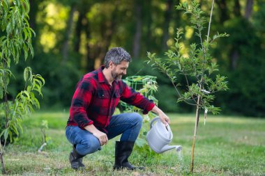 Bahçede bitki yetiştiren bahçıvan. Bahçedeki bahçıvan ağacı. Bahçıvan ağaç dikiyor. Bahçıvanlık ve su kovası. Ev bahçesi. Meyve ağaçlı bahçe. Olgun bahçıvan ağaç dikiyor.