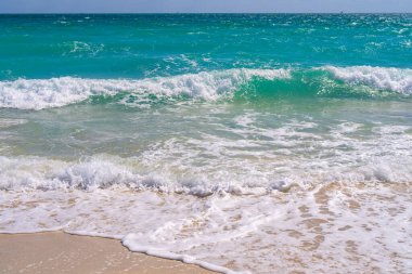 Tropik sahil şeridi. Egzotik deniz plajı. Köpüklü deniz dalgaları. Güneşli deniz plajı tatili. Deniz kıyısı tatili