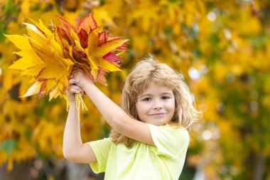 Sonbahar portresi, güz yaprağı. Sonbahar yapraklarının yanında sevimli bir çocuk yüzü var. Sonbahar günü sarı akçaağaç ve meşe yapraklı bir çocuğun vesikalığı. Çocuksu yüzlü sonbahar yeşilliği.