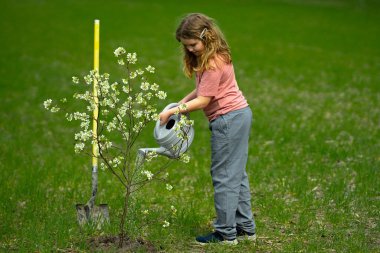 Çocuk dikme ağacı. Bitkilerin bahar etkinliği. Çocuk kürek ve su bidonuyla çalışıyor. Çocuk meyve ağacı dikmiş. Bahçıvan çocuklar. Çocuk ağaç dikmek ve onunla ilgilenmek. Elinde kürek olan çocuk, ekmeye hazır.