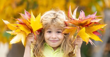 Sonbahar yapraklı çocuk portresi. Sonbahar parkında rüya gibi bir sonbahar gününde küçük bir çocuk. Akçaağaç yaprakları açık havada düşerken çocukluk eğlencesi. Bir çocukla sonbahar günü. Çocuklar sonbahar yapraklarıyla yüzleşir.