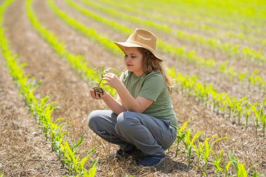Eko çiftliği. Çocuk çevre dostu mısır tarlasında. Yeşil ekosistemde tarım. Eko tarım konsepti. Çocuklu organik tarım arazisi. Çevre ekolojik kavramı. Çocuk çiftçiliği. Çocuklar elleri toprağa bakıyor.