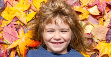 Sonbahar yapraklı çocuk yüzü. Sonbahar parkında rüya gibi bir sonbahar gününde küçük bir çocuk. Akçaağaç yaprakları açık havada düşerken çocukluk eğlencesi. Bir çocukla sonbahar günü. Çocuklar sonbahar yapraklarıyla yüzleşir.