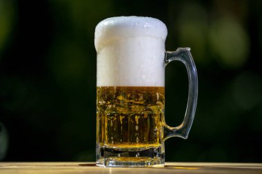 Açık havaya altın zanaat birası döküldü. Bardakta köpüklü bira. Doğanın arka planında bira sıçraması. Doğaya kehribar birası dökmek. Köpüklü ve köpüklü bira. Bira fabrikası birası.