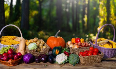 Taze çiğ sebze ve meyve. Taze sebze seçimi olan bir çiftlik. Pazar için meyve ve sebze topladım. Organik tarım ürünleri. Sepette taze sebzeler. Renkli sebze hasadı