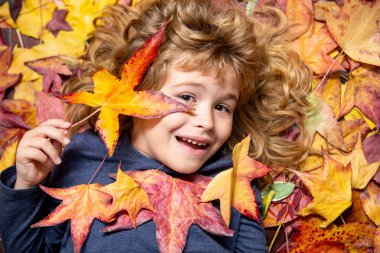 Sonbahar yaprak parkında sonbahar çocuk portresi. Sonbahar yapraklarının yanında sevimli bir çocuk yüzü var. Sarı akçaağaç ve meşe yapraklarıyla sonbahar gününün tadını çıkaran küçük çocuk. Çocuklarla dolu sonbahar yaprakları rüya gibi.
