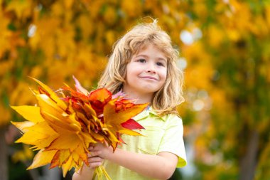 Sonbahar yaprak parkında sonbahar çocuk portresi. Sonbahar yapraklarının yanında sevimli bir çocuk yüzü var. Sarı akçaağaç ve meşe yapraklarıyla sonbahar gününün tadını çıkaran küçük çocuk. Çocuklarla dolu sonbahar yaprakları rüya gibi.