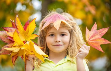 Sonbahar yaprak parkında sonbahar çocuk portresi. Sonbaharda açık havada neşeli bir yüzü olan sevimli bir çocuk. Sarı akçaağaç ve meşe yapraklarıyla güz gününün tadını çıkaran bir çocuk. Çocuklar için sonbahar mevsimi eğlence ve duygular için