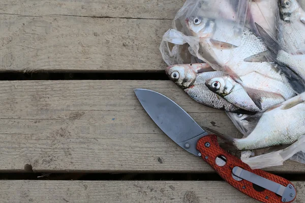 Captura de pescado — Foto de Stock