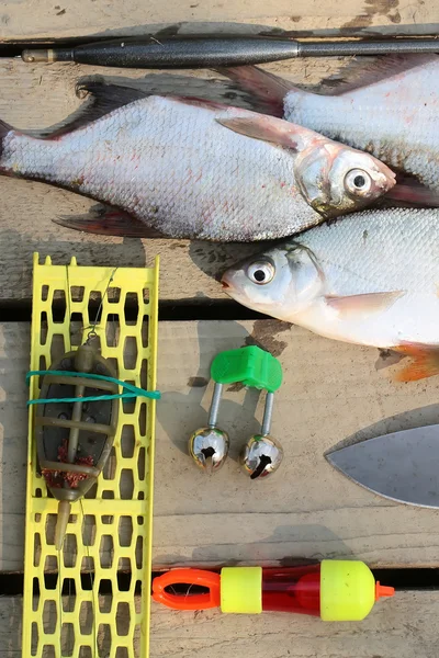 Fish catch — Stock Photo, Image
