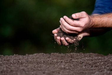 Toprak ve organik gübre kavramı. Toprakla tarım. Elle test toprağı. Dünya bakımı ve meliorasyon. Toprak ekin. Elleri toprak akıtıyor. Toprağı ve gübre verimliliğini inceliyorum.