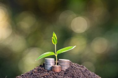 İş başarısı. Para biriktiriyorum. İş büyümesi, kalkınma ve para. Ekoloji ve İş