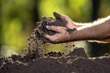 Elleri verimli toprağı yakından tutuyor. Toprağı kontrol ediyorum. Kirli kil ve organik gübre