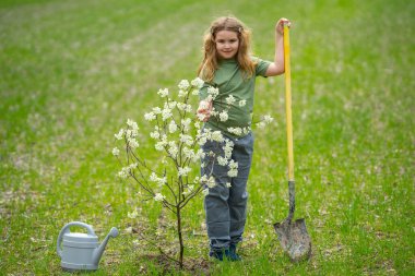 Child planting a tree in garden. Kids grow up fruit tree. Kid gardener with shovel. Child work in orchard with blooming trees. Children planting trees in backyard. Young farmer caring for trees