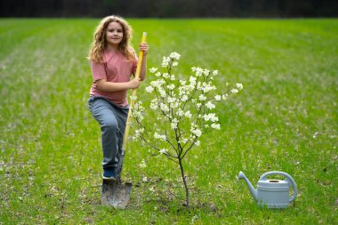 Çocuk bahçeye bahar ağacı dikiyor. Çocuklar meyve ağacı gibi büyür. Kürekli çocuk bahçıvan. Çocuk meyve bahçesinde çiçek açan ağaçlarla çalışıyor. Çocuklar arka bahçeye ağaç dikiyorlar. Ağaçlarla ilgilenen genç çiftçi