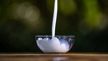 Dışarıdaki bir kaseye taze süt dökülüyor. Tahta masadaki cam bardakta süt sıçraması yakın plan. Yeşil doğada sütlü içecek. Yeşil doğayla iç içe süt dökülüyor. Bokeh ile taze süt.