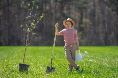 Kürekle ağaç yetiştiren çocuk. Arka bahçeye çocuk dikme ağacı. Bahar tarlasında çocuk dikimi. Sulama kutusu ve küreği olan küçük bir bahçıvan. Bahçede ağaç yetiştiren çocuk