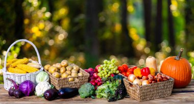 Sonbaharı hasat et. Eko çiftliğinden toplanan taze sebzeler. Sepet dolusu çiğ sebze. Doğal tarım ekimi