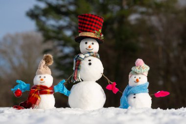 Kardan adam açık havada şenlik şapkası takıyor. Soğuk kış manzarasında mutlu kar adam. Buzlu kış bayrağıyla kardan adam. Atkısını sallayan kardan adam. Kışın kart tasarımı için komik kardan adam