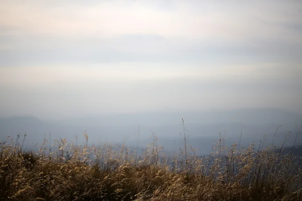 Landschapsmening buiten — Stockfoto