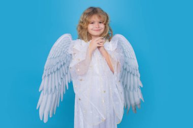 Güzel küçük melek. İzole stüdyo çekimi. Melek kanatlı şirin bir çocuk. Aşk tanrısı, sevgililer günü konsepti