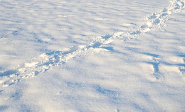 Snow texture, white tones background. Snow texture. Smooth surface of clean fresh snow. Snowy ground