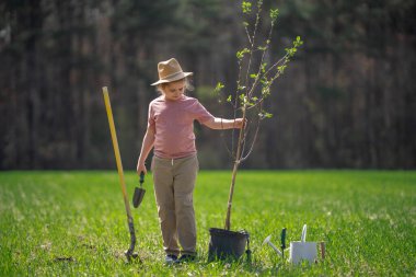 Şapkalı bir çocuk kürekle ağaç yetiştiriyor. Arka bahçede ağaç yetiştiren çocuk. Bahar tarlasında ağaç yetiştiren çocuk. Sulama kutusu ve küreği olan küçük bir bahçıvan. Bahçede ağaç yetiştiren çocuk