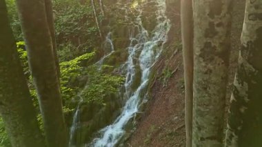 Şelaleli güzellik. Şelalelerin panoramik hava manzarası. Güzel yeşil doğa. Plitvice gölleri ve Şelale. Hırvatistan 'daki güzel şelale manzarası. Plitvice göllerinin yaz görünümü