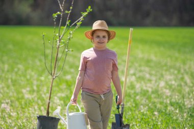 Çocuk kürekle ağaç dikiyor. Çocuk arka bahçeye ağaç dikiyor. Bahçe çiftliğinde ağaç yetiştiren çocuk. Çocuk işi