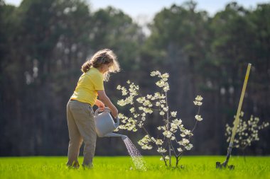 Bahçeye ağaç dikmiş bir çocuk. Çocuk kürekle toprak kazıyor ve ağaç dikiyor. Çocuk bahçıvan meyve ağaçlarıyla ilgileniyor. Çocuklarla ağaç dikmek. Yeşillik için çocuk yetiştiriyorum. Çocuklar için bahçe.