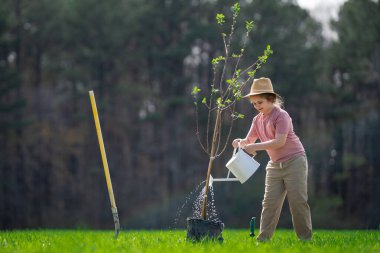 Çocuk kürekle ağaç dikiyor. Çocuk arka bahçeye ağaç dikiyor. Bahar tarlasında çocuk dikme ağacı
