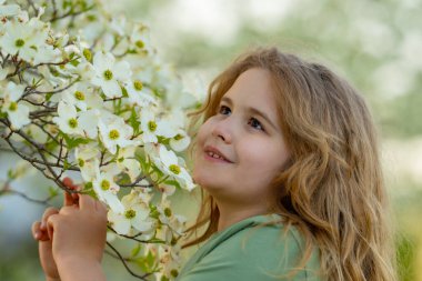 Çocuğun etrafında bahar çiçekleri var. Çiçek açan bahçede bir çocuk. Çiçeklere yakın bir çocuk yüzü. Hayalperest çocuk portresi. Açık havada çocuklar çiçek açan ağaçlarla portre yaparlar. Çocuğa ve çiçeklere yakın çekim
