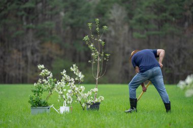 Bahçıvan toprağı kazıyor. Bahar tarlasında çalışan çiftçi. Bahçede kürekle çalışan bahçıvan. Kırsal bahçıvan arazi işliyor. Meyve bahçesindeki olgun çiftçi. İşçi tohumu ekme