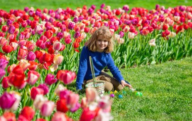 Doğanın tadını çıkaran bir çocuk. Lale parkında elinde Paskalya sepeti olan bir çocuk. Gülümseyen çocuğun Paskalya 'da çekilen resmi. Çocuk bahar tatilini Paskalya yumurtalarıyla kutluyor.