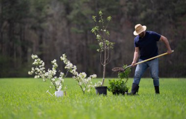 Bahçıvan toprağı kazıyor. Bahar tarlasında çiftçi kazısı. Bahçede kürekle çalışan bahçıvan. Kırsal bahçıvan toprak kazıyor. Meyve bahçesini kazan çiftçi. İşçi tohumu ekme