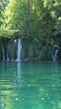 Şelale doğayla uyum içinde. Güzel bir şelale meditasyon noktası. Doğada bir şelale yolculuğu. Gizli bir şelale cevheri keşfediyor. Güçlü bir şelalenin enerjisi