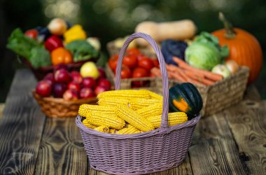 Harvest vegetables and fruits. Autumn harvest background. Basket full of fresh apples, potatoes, and peppers from a harvest. Organic harvest broccoli corn cucumbers ready for market