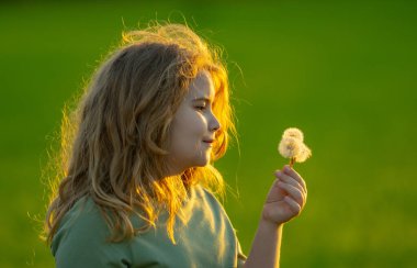 Çocuk bir karahindiba üflüyor. Çocuk bahar tarlasında karahindiba ile oynuyor. Çocuk rüya görür. Çocuk yazın tadını çıkarıyor ve karahindiba tohumları saçıyor. Çocukların özgürlüğü. Çocuk karahindiba üflüyor.