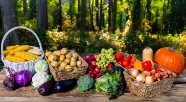 Assorted vegetables. Variety of vegetable. Mixed fruit and vegetable. Selection of vegetables on nature background. Vegetable mix assortment in basket. Set of autumn vegetables. Harvest concept