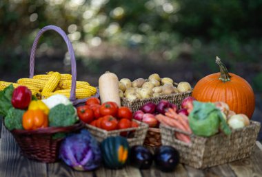 Harvest vegetables and fruits. Autumn harvest background. Basket full of fresh apples, potatoes, and peppers from a harvest. Organic harvest broccoli corn cucumbers ready for market